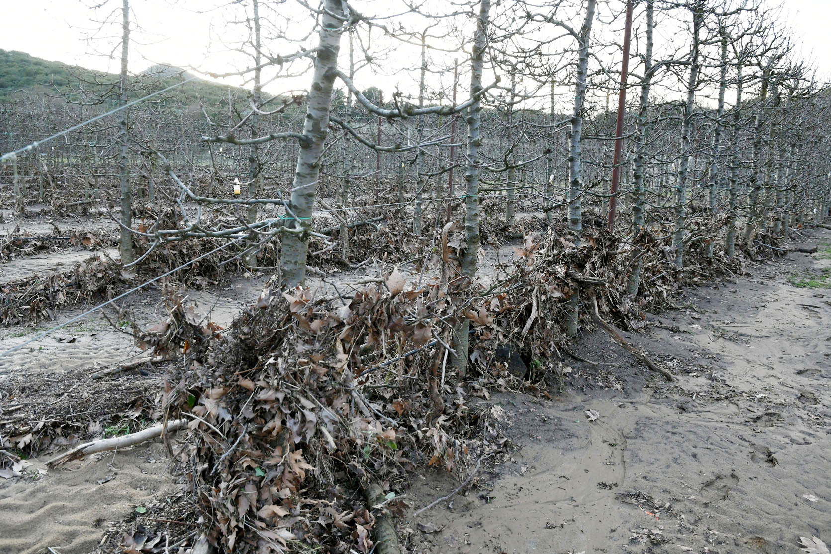 Σε αναγγελίες ζημιών από την πλημμύρα της 1ης Φεβρουαρίου προχώρησε ο Δήμος Αγιάς