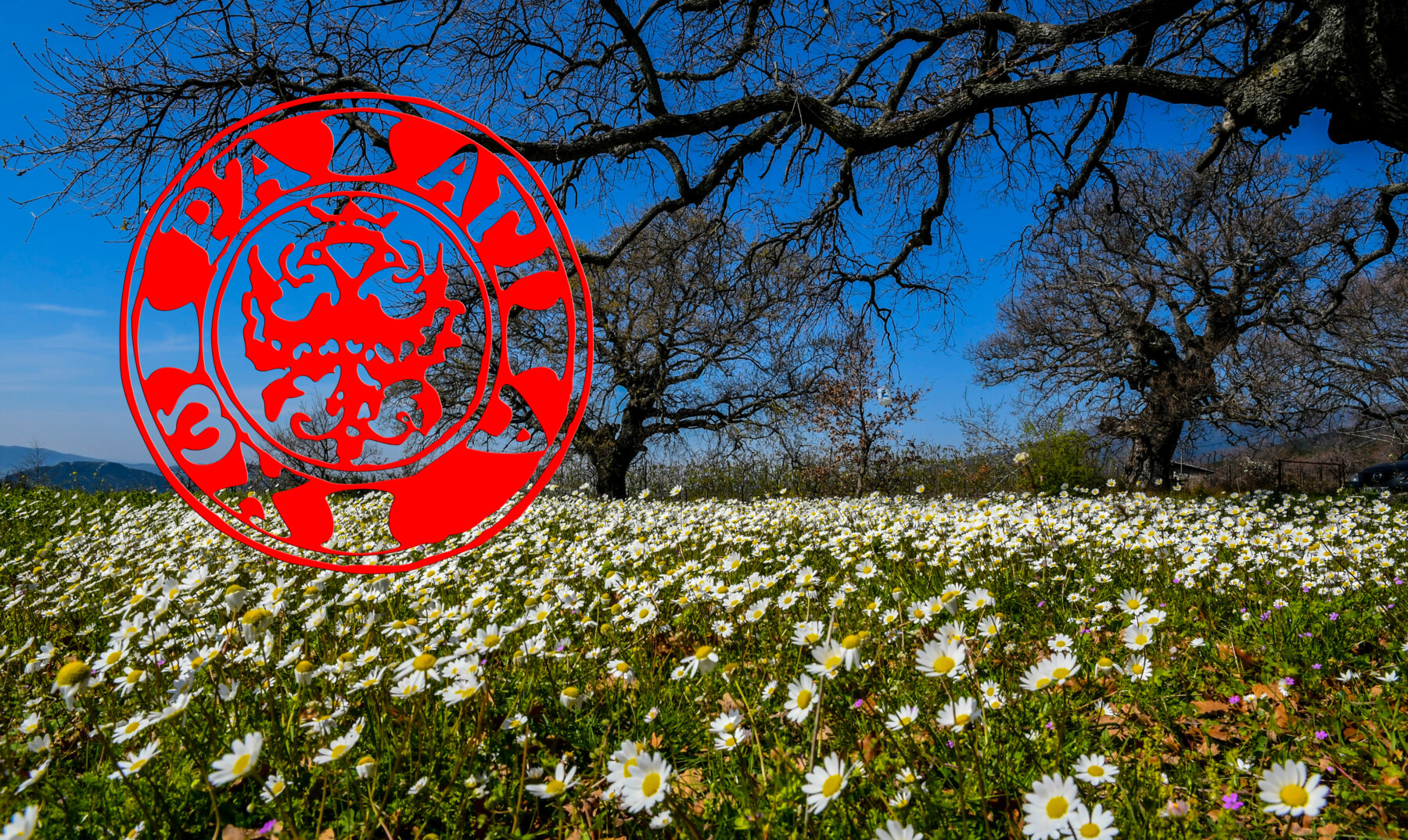 “Δές, πάλι η ψυχή χρυσίζει στ’ απροσμάχητο φώς…” / “Χρόνια Πολλά, Καλό Πάσχα, Να Περάσετε Όμορφα”!!!
