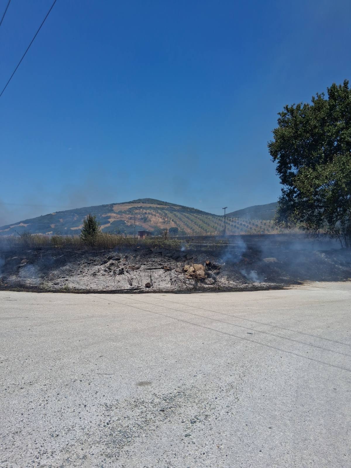 Πυρκαγιά στο Βαθύρεμα Αγιάς σβήστηκε εν τη γενέσει της (βίντεο+φωτο)